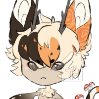 Thumbnail for DJUB-273